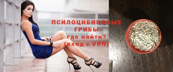 шишки Карпинск