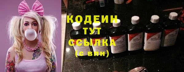 шишки Карпинск