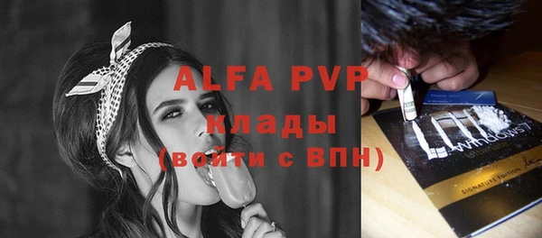 шишки Карпинск