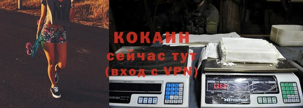 стаф Киренск