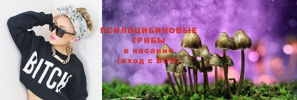стаф Киренск