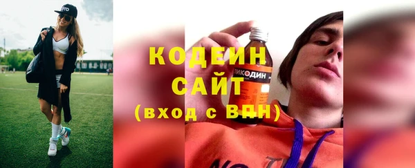 шишки Карпинск