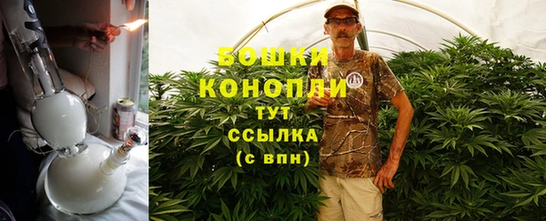 соль ск Касимов