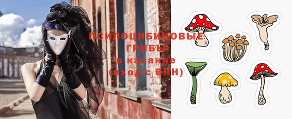 шишки Карпинск