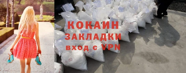 шишки Карпинск
