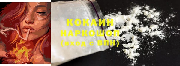 стаф Киренск